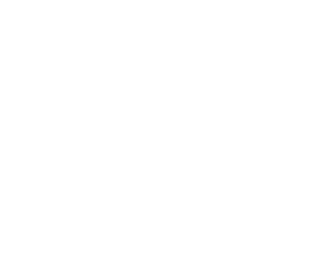 Terrapin Consulting Group