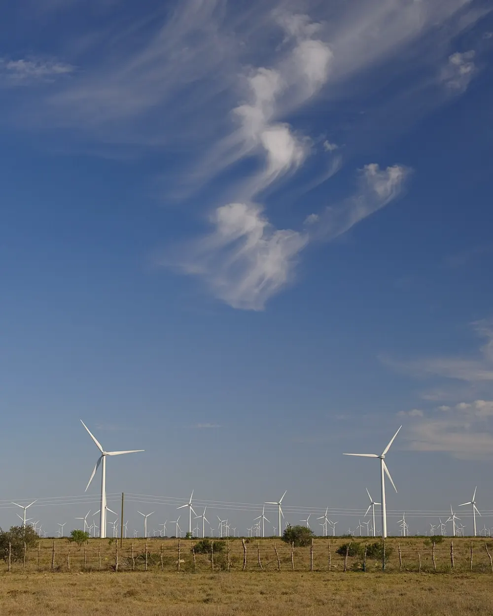 Wind turbines across open Texas grassland